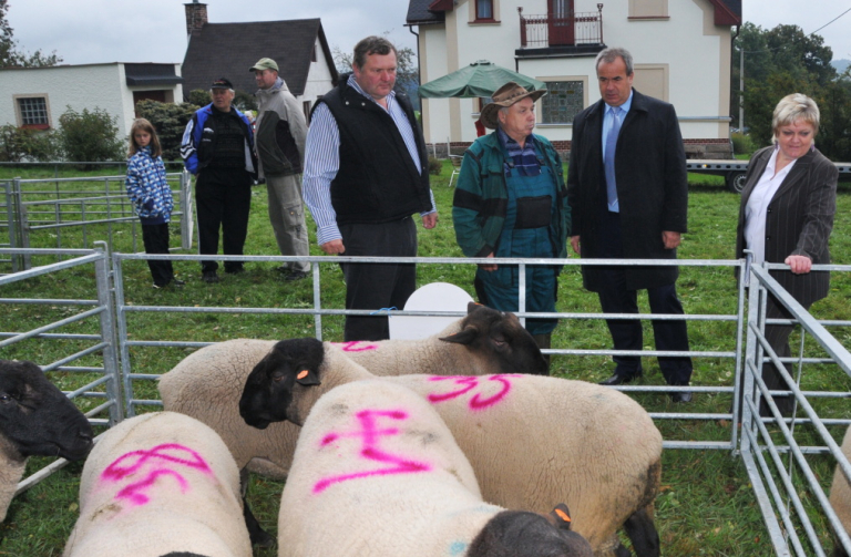 Svatováclavská výstava ovcí a koz se konala na Pěnčíně